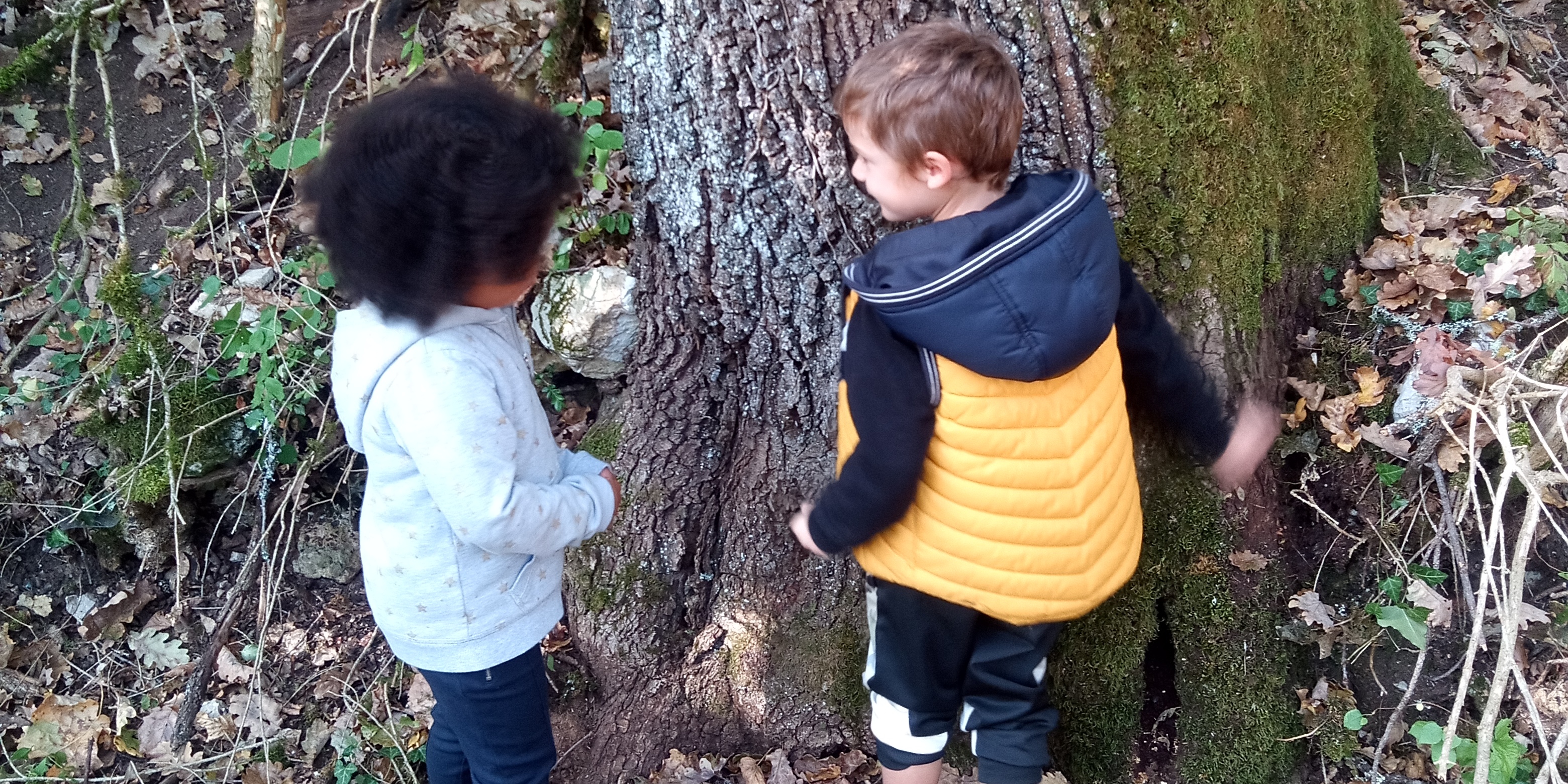 Carresses aux arbres_LPO Occitanie